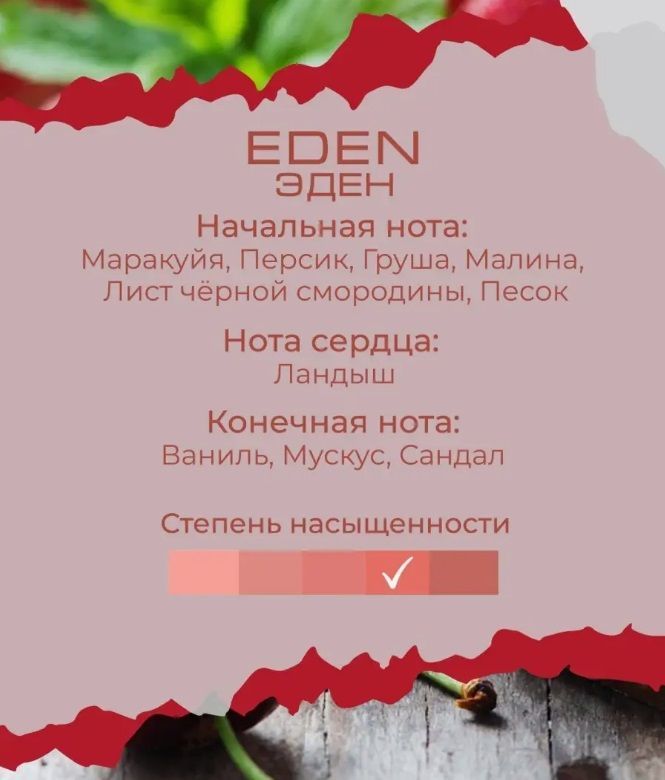 Изображение №1 Аромадиффузор M (250 мл) EDEN